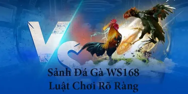 Chinh Phục Sảnh Cược Với Cách Chơi Đá Gà WS168 Tại Tydo88 Siêu Đơn Giản