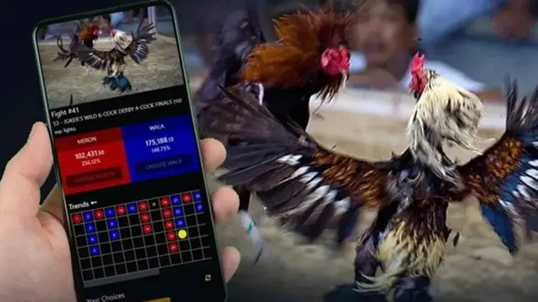 Trải Nghiệm Đỉnh Cao Đá Gà Tydo88 Sôi Động Và Kịch Tính Nhất