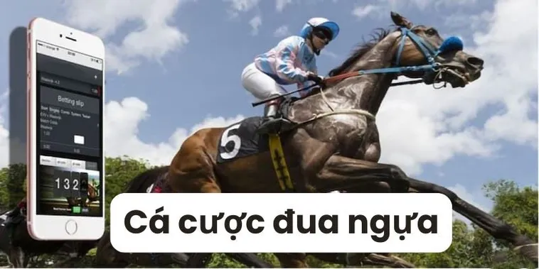 Khám Phá Trường Đua Cá Cược Đua Ngựa Tydo88 Kịch Tính 2 Khám Phá Trường Đua Cá Cược Đua Ngựa Tydo88 Kịch Tính